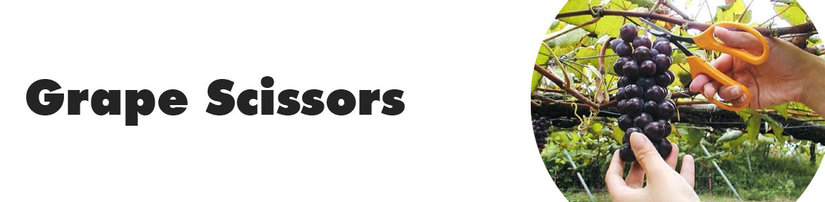 Grape Scissors - TWEEZER WORLD