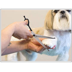 Pet Scissors Dog Hair Cutting Tool Curved Safety Round Tips Dog Shears