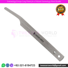 Entomology Forceps – Precision Tools for Delicate Work