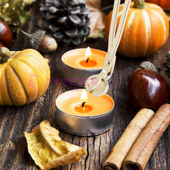 Professional Quality Candle Wick Trimmer & Candle Accessory Scissors