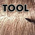 Hair Parting Tool