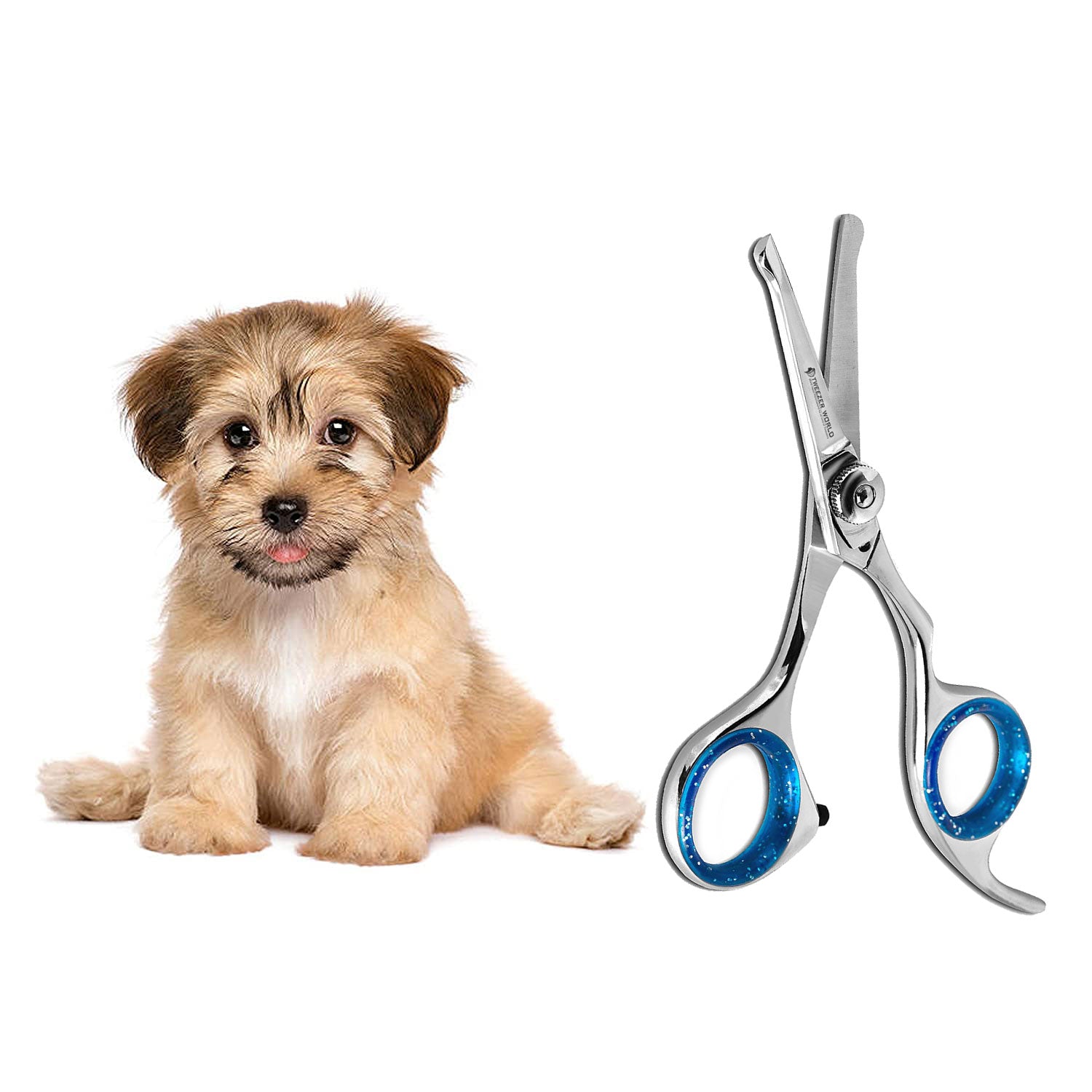 Pet Grooming Scissors Straight with Safety Round Tip Ball Point Easy use