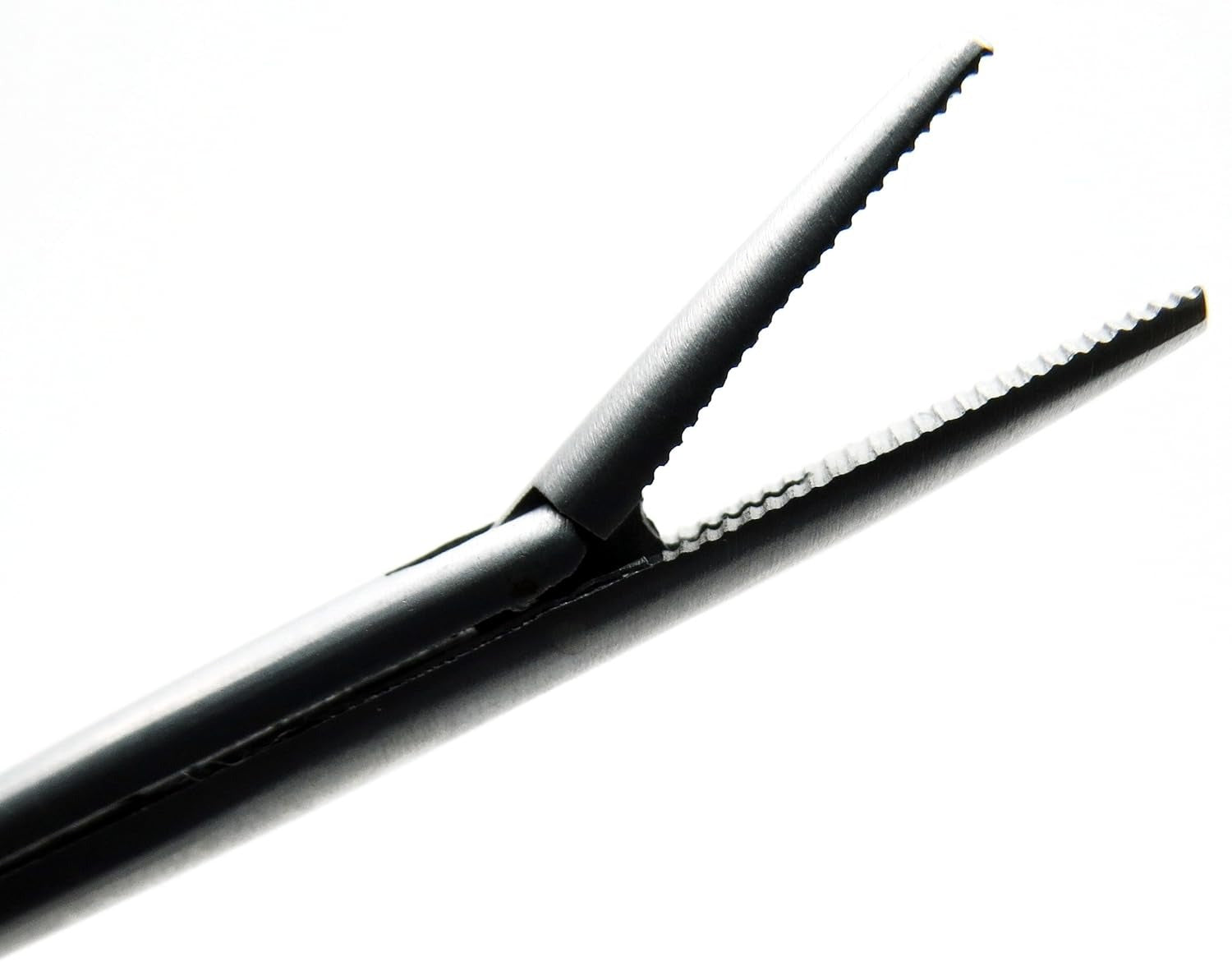 Alligators Forceps