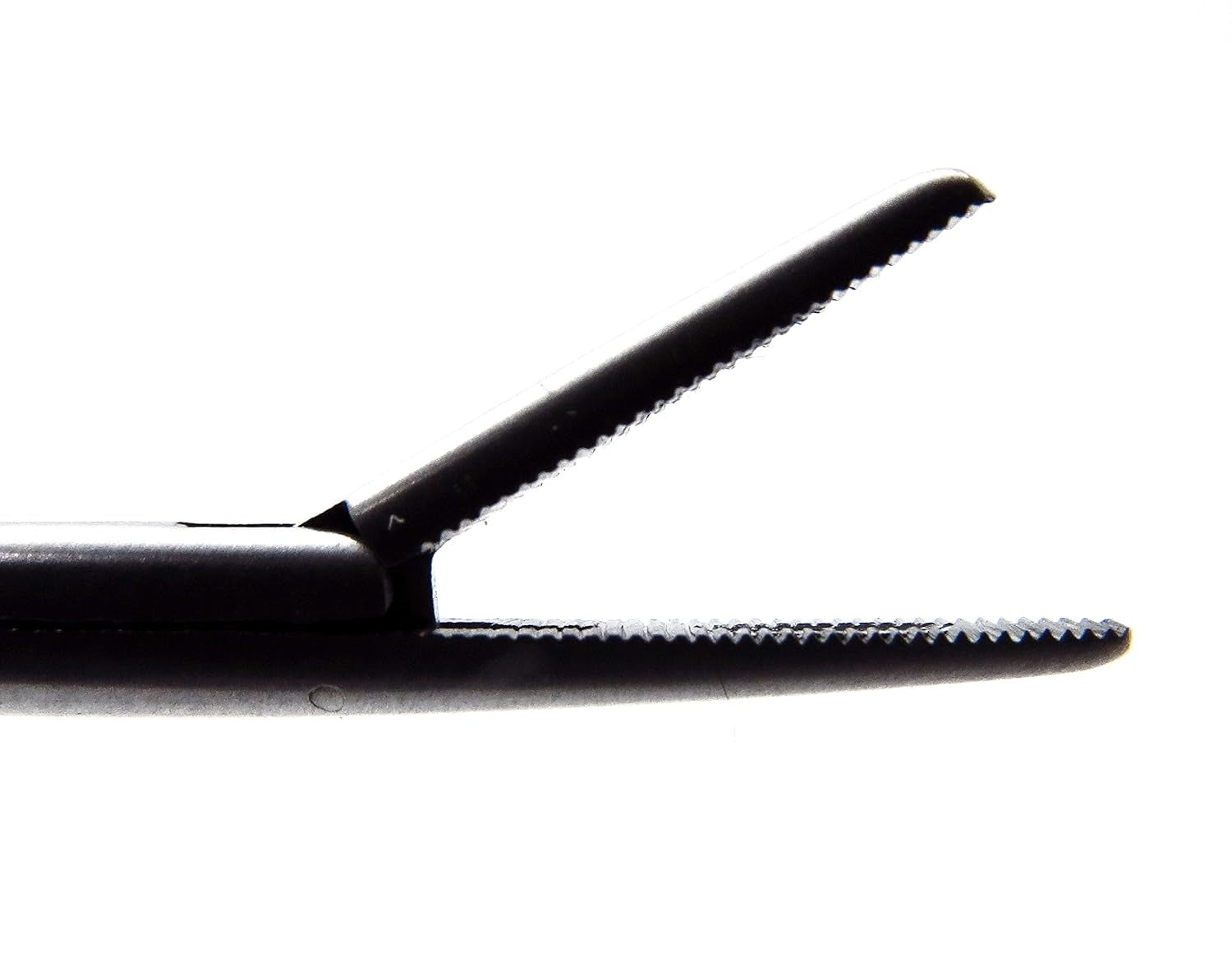 Alligators Forceps