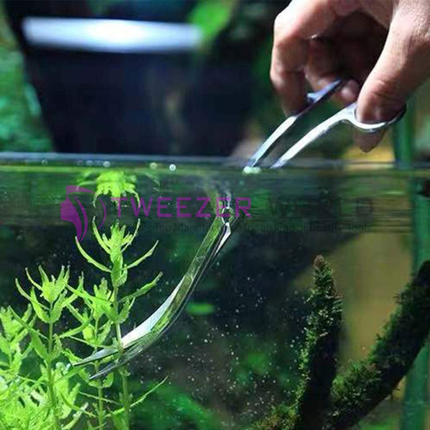 Wholesale Price Wave Scissors Stainless Steel Perfect for Aquarium Tank