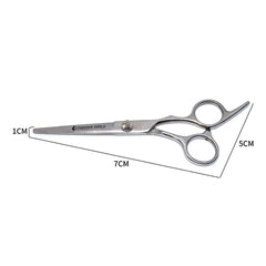 Professional Hair Cutting Scissors Salon Scissor Barber Hairdressing Scissors