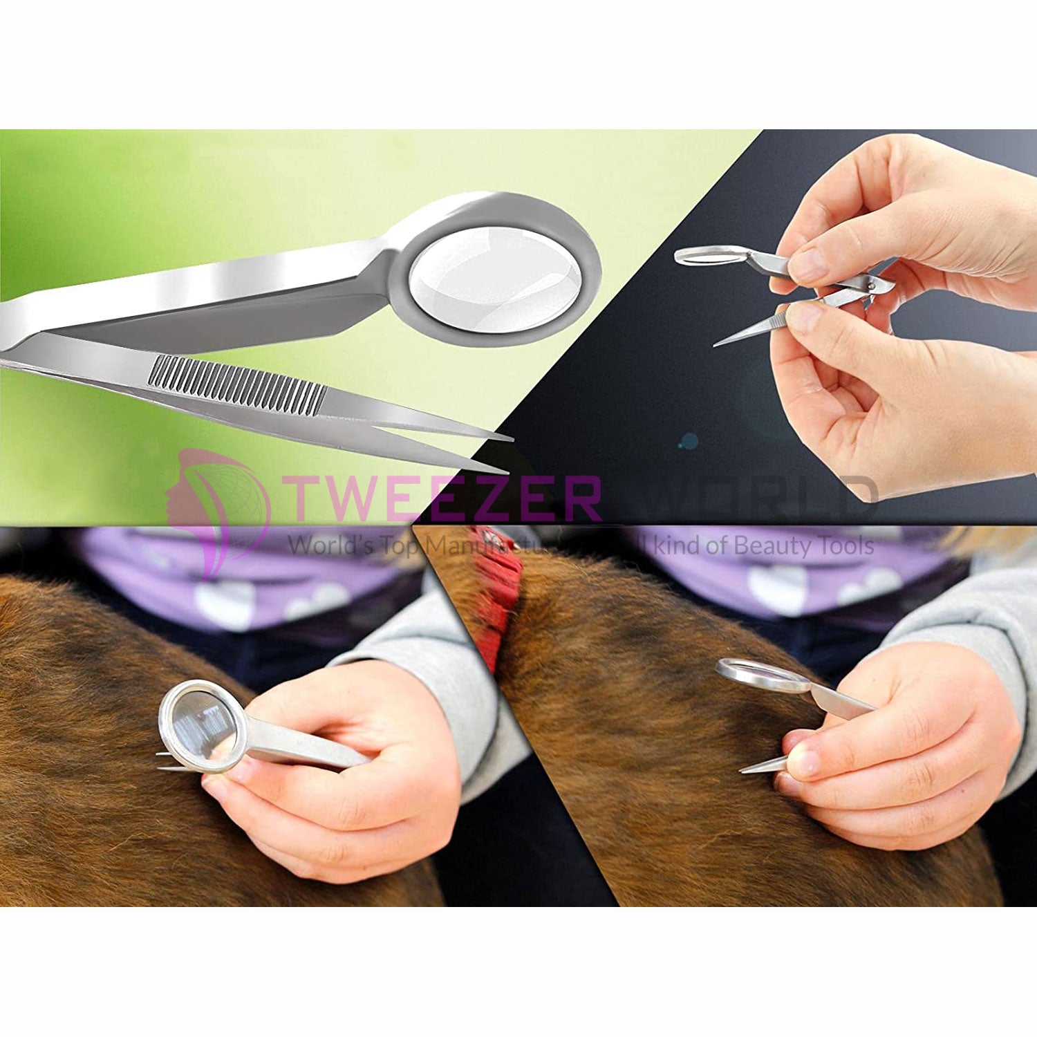 Professional Stainless Steel Tweezers with Magnifying Glass