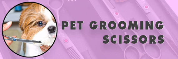 Pet Grooming Scissors