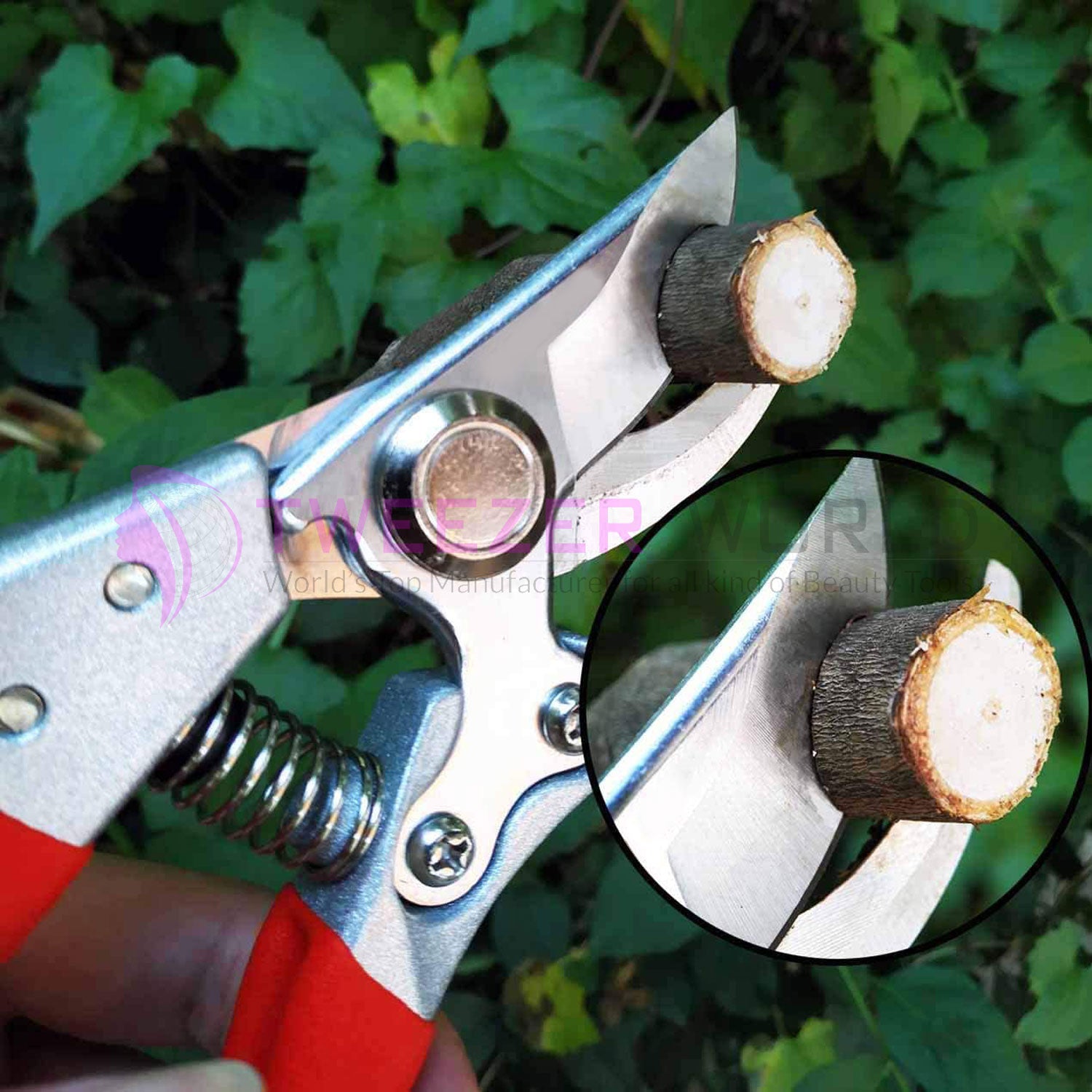 Best Gardening Shears Professional Pruner Hand Shears Tree Trimmers