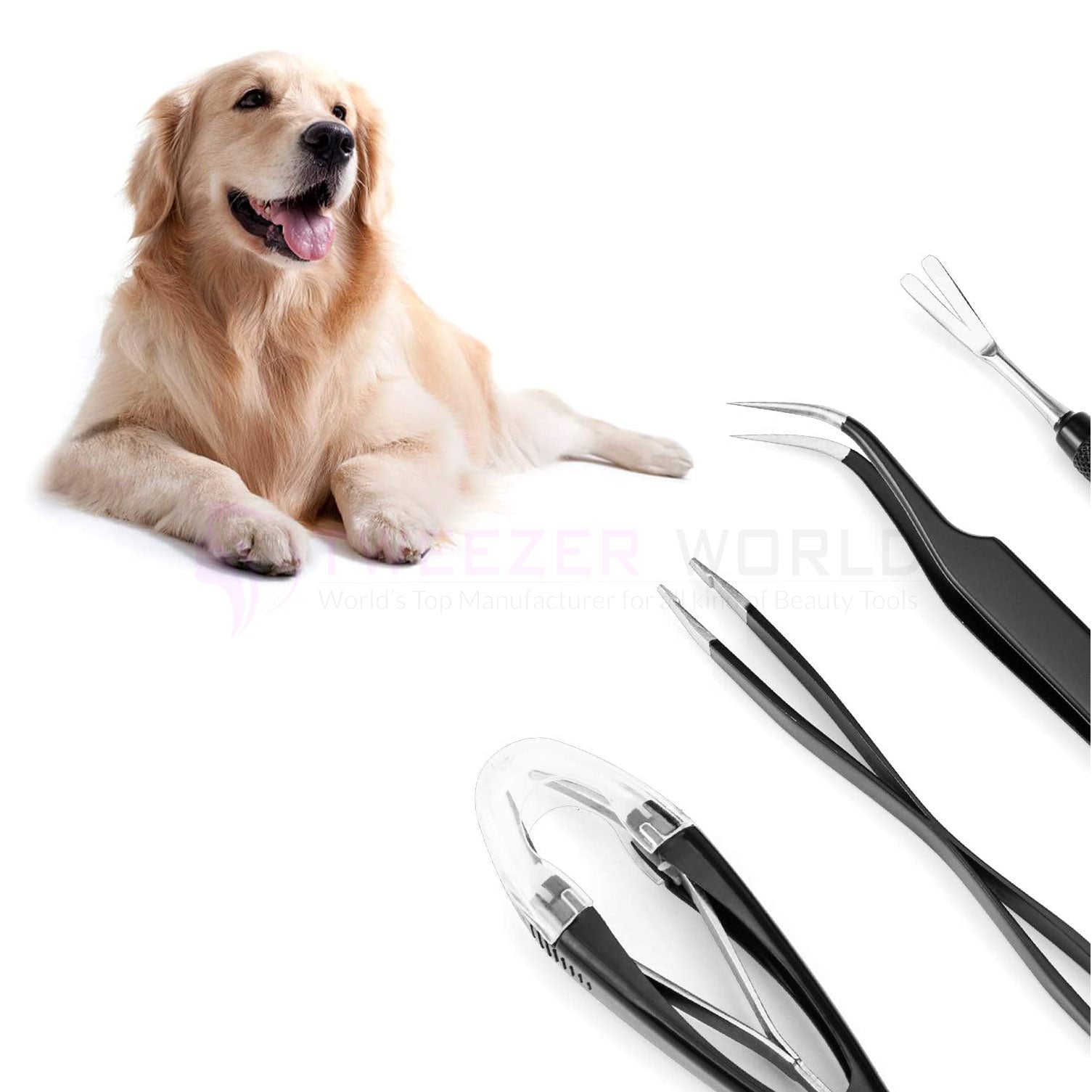 Premium Tick Removal Kit Tick Remover Hook Tweezers Use for Pets