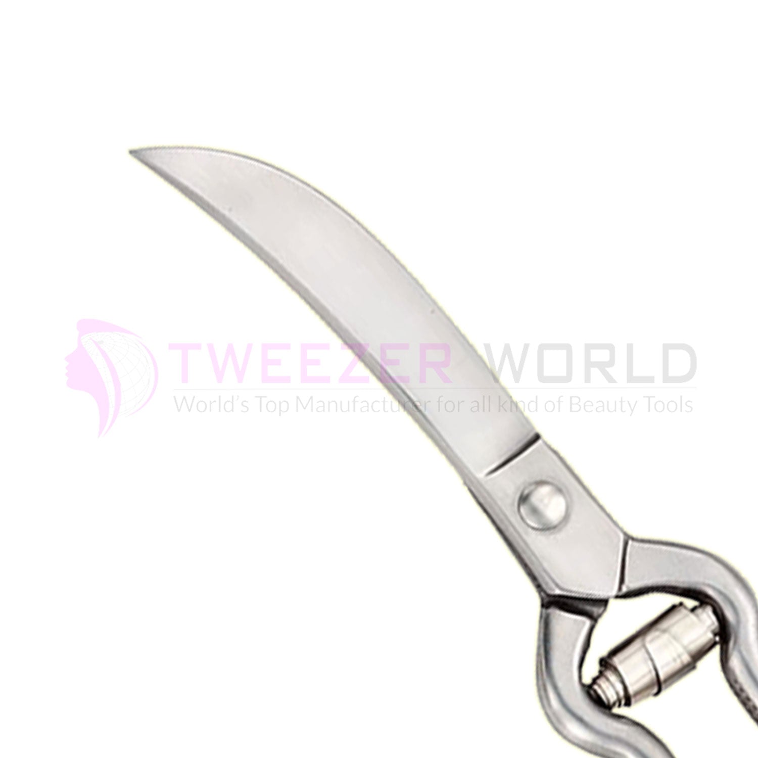 Most Popular Multipurpose Chicken Meat Bone Shears Kitchen Scissors