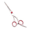 JP Steel Hair Cutting Scissors Thinning Shears Hairdressing Scissors4