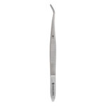 Curved Dissecting Forceps Surgical Forceps Best Stainless Steel Forceps